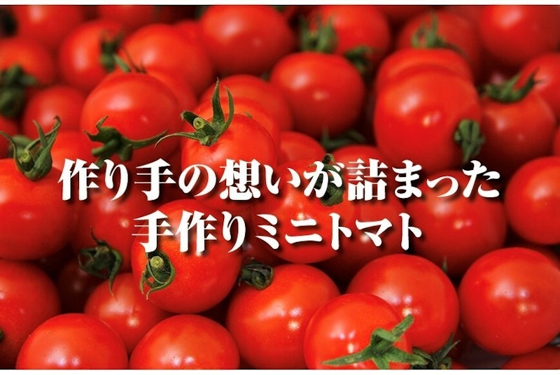 ソムリエミニトマト プラチナ 3