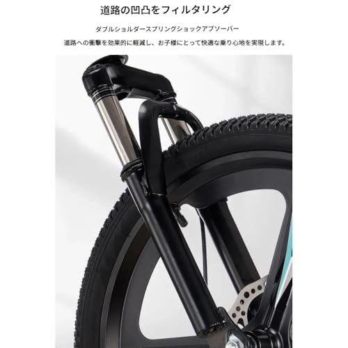 ファットバイク 7