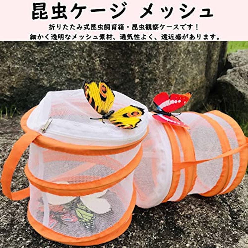 昆虫ケージ 2
