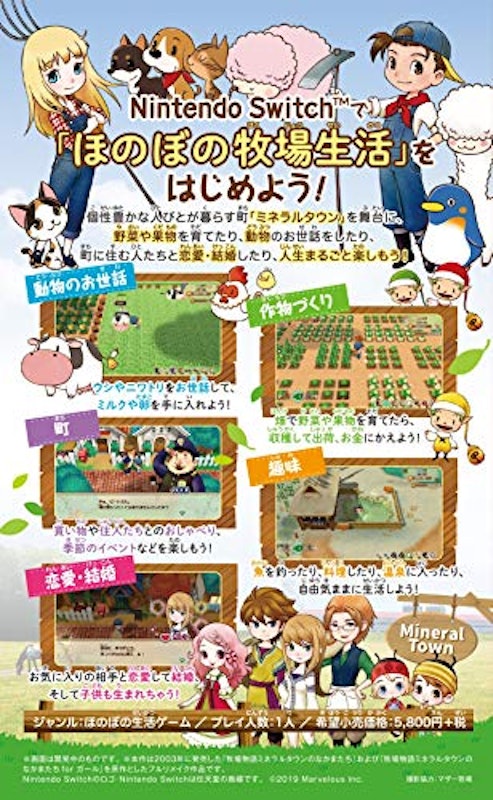 牧場物語 再会のミネラルタウン 2