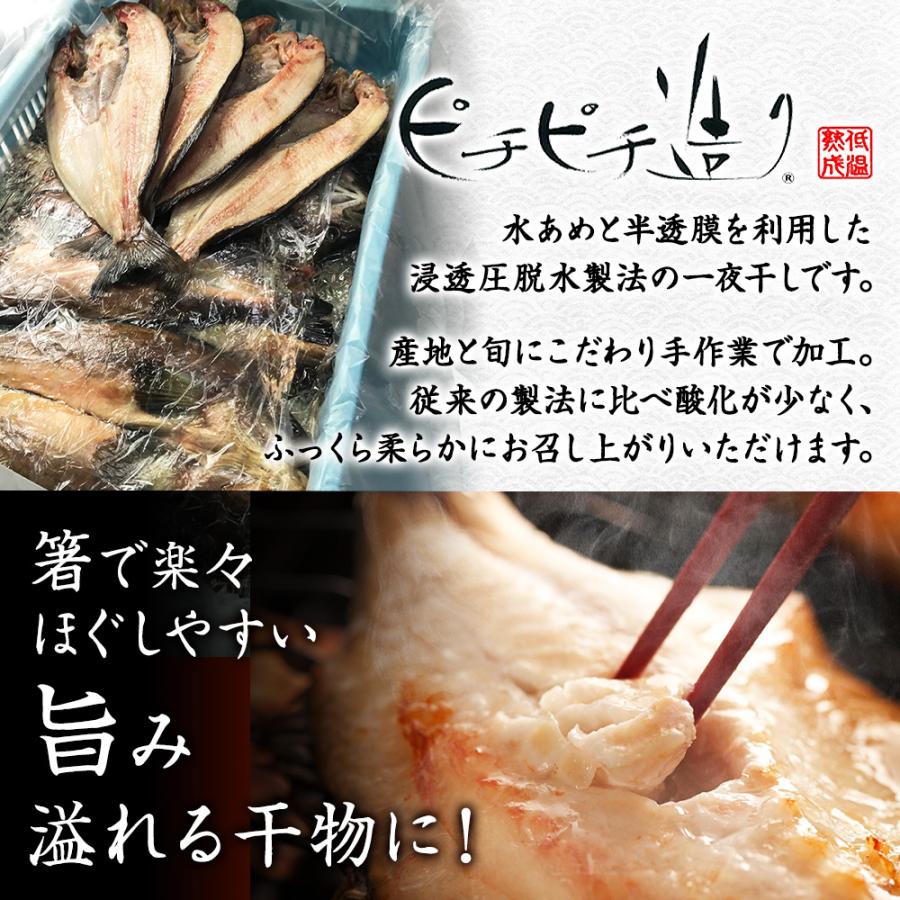 北海道産直干物9点セット 5