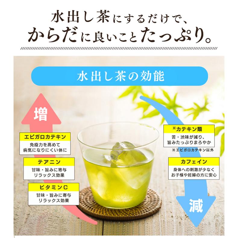 淹れっぱなしでも苦くならない 緑茶ティーバッグ 8