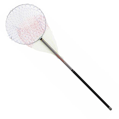ブルーベイ磯玉セット 1