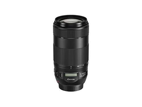 Canon（キヤノン）のカメラレンズのおすすめ人気ランキング