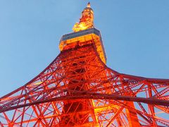 東京都内の外国人向け観光スポットのおすすめ人気ランキング【2024年】 | マイベスト