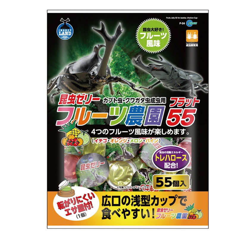 フルーツ農園 フラット55 1