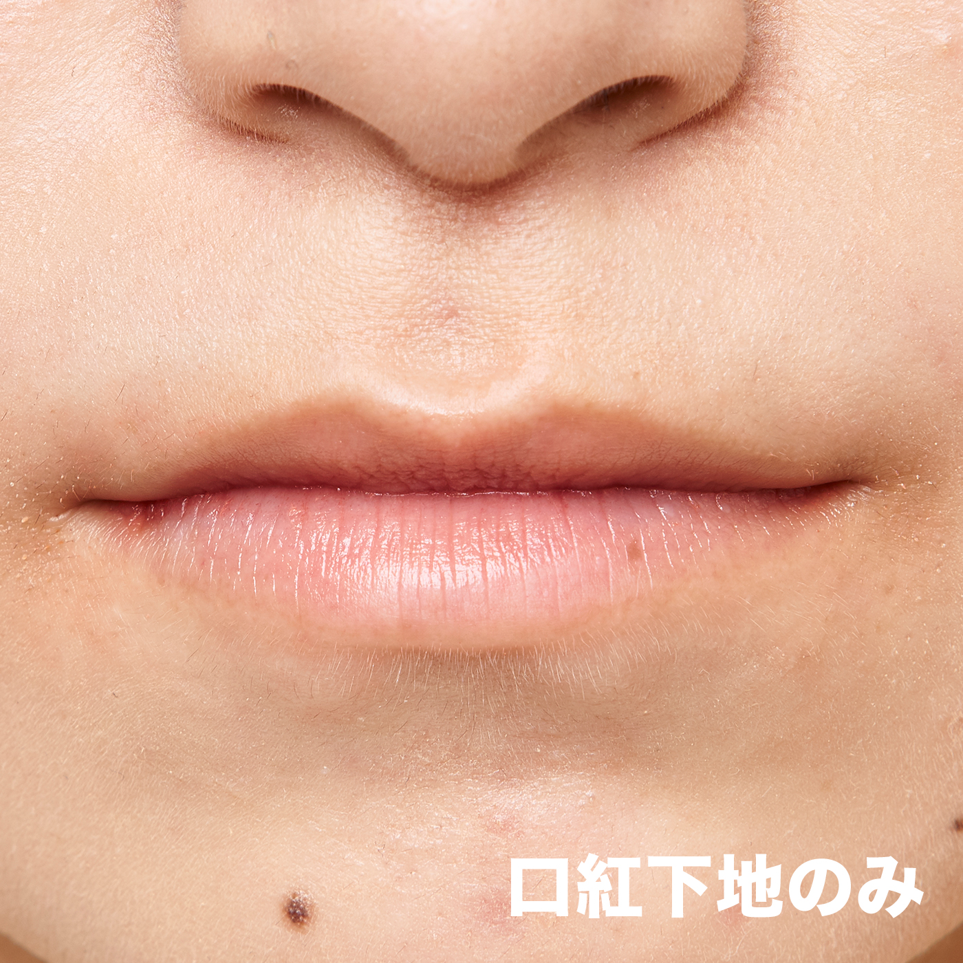 リップコンシャス プロテクター 2