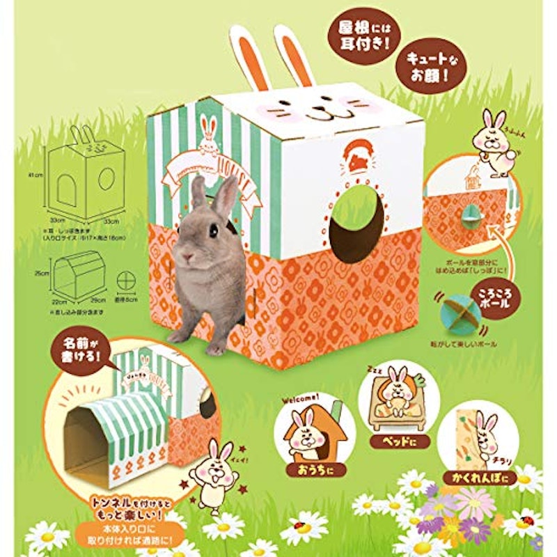 うさぎのぴょんぴょんハウス 7