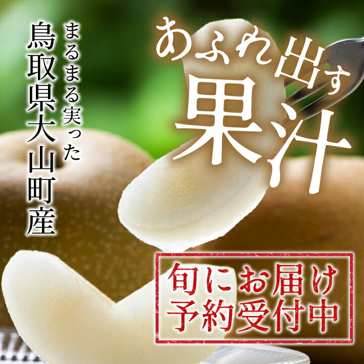 新甘泉梨 3