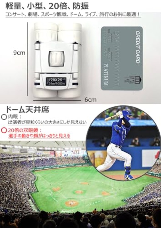 双眼鏡 6