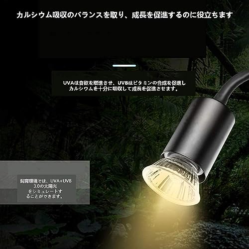 爬虫類ライト 3