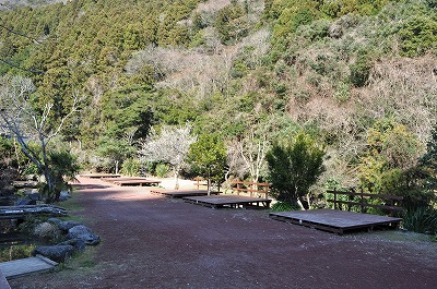 河津七滝オートキャンプ場 1