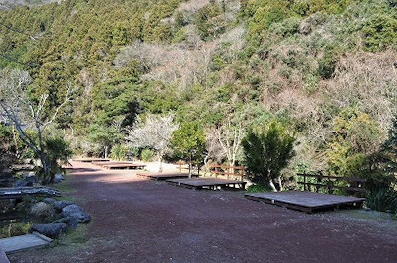 河津七滝オートキャンプ場 1