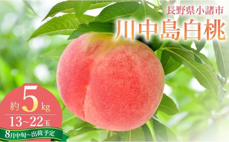 川中島白桃 1