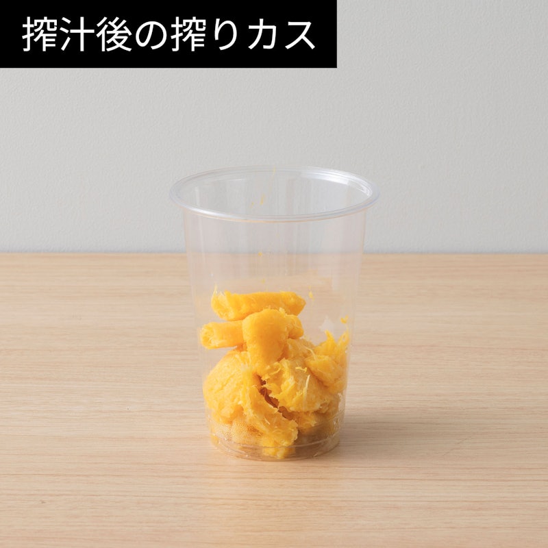 スロージューサー 10