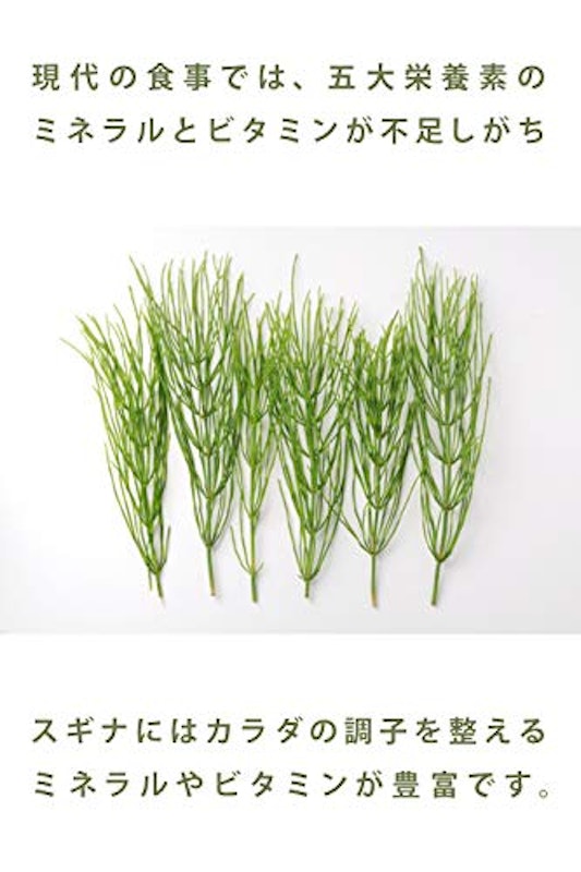 すぎな粉 3