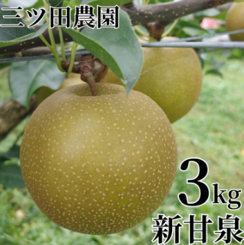 三ツ田農園  新甘泉 1