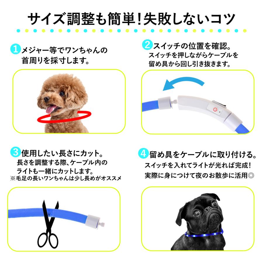 光る首輪  15