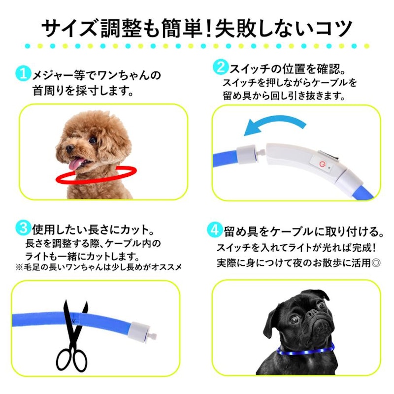 光る首輪 15