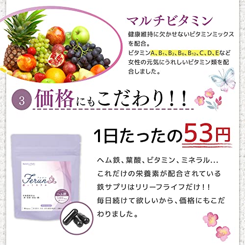 Ferun 鉄+ミネラル 9