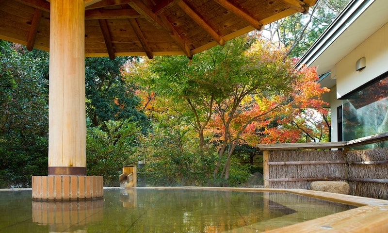 湯の山温泉 グリーンホテル 4