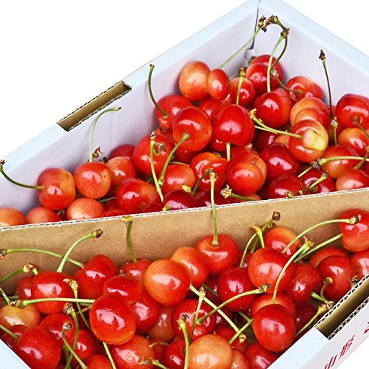 通販でおすすめのさくらんぼ人気ランキング10選 Mybest