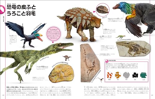 改訂版　恐竜と古代の生き物図鑑 6