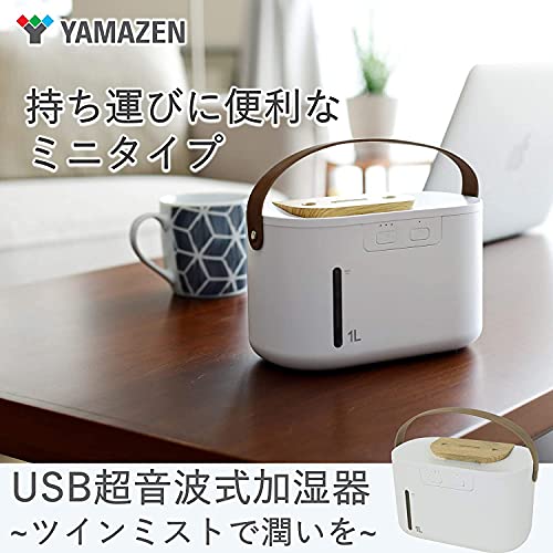 USB超音波式加湿器 ツインミスト 2