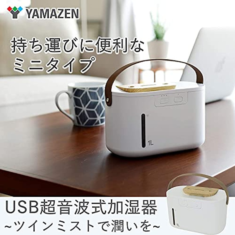 USB超音波式加湿器 ツインミスト 2