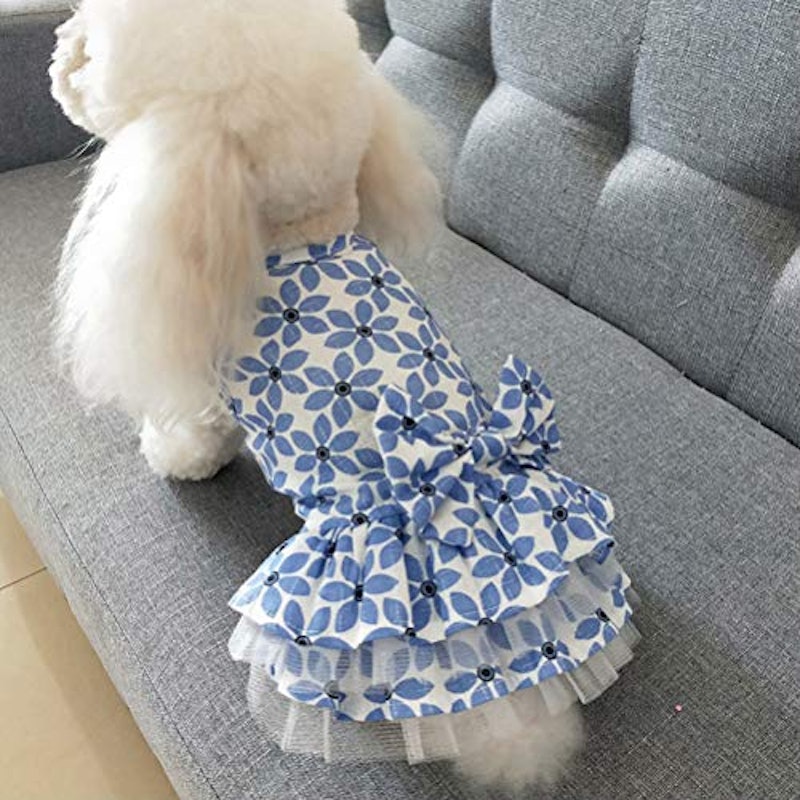 犬用ワンピース 1