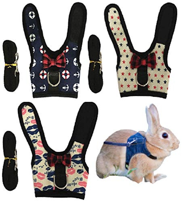 22年 うさぎ用ハーネスのおすすめ人気ランキング17選 Mybest 22年 うさぎ用ハーネスのおすすめ人気ランキング17選 Mybest