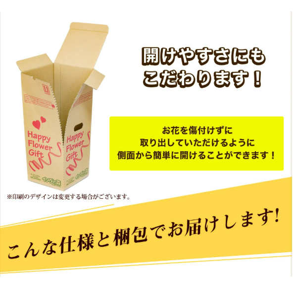カーネーション 3