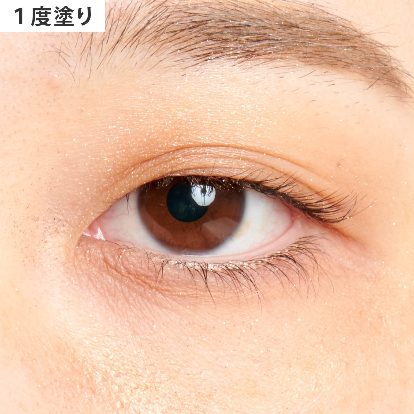 デイジーク シャドウパレット 5