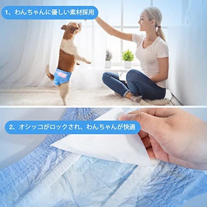 犬用おむつ 4