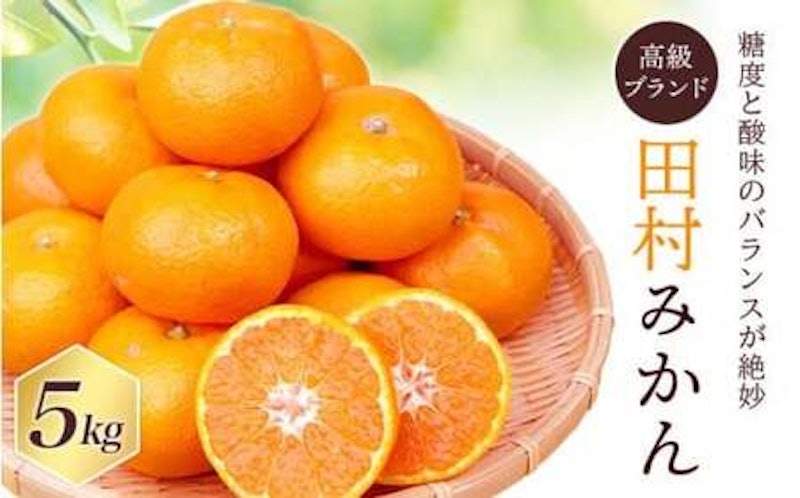 田村みかん 1