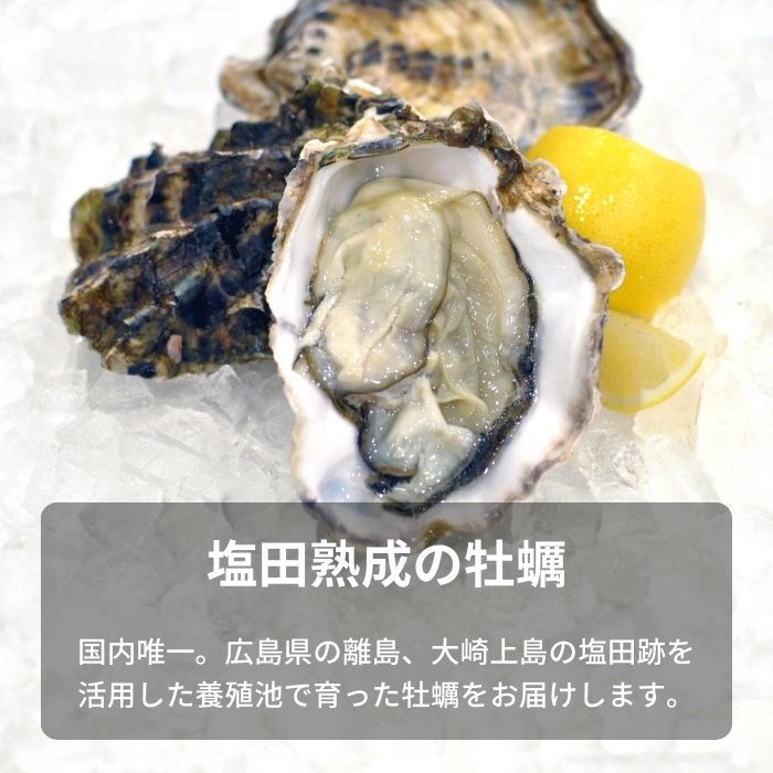 クレールオイスター 2