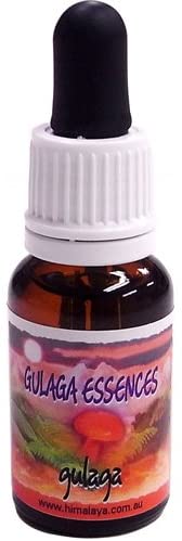 フラワーエッセンスのおすすめ人気ランキング【2025年12月】 | マイベスト