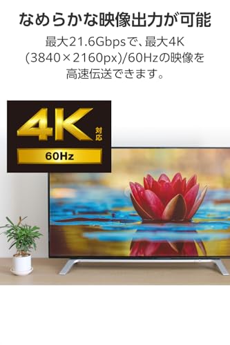 DisplayPortケーブル 4