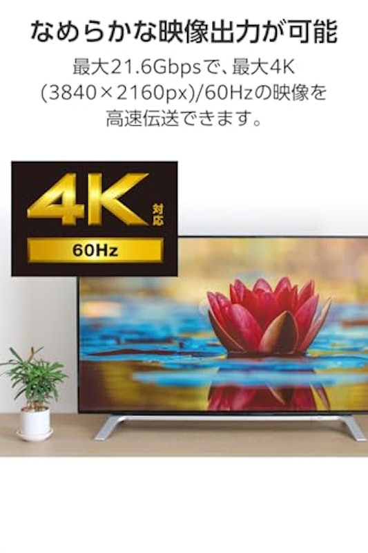 DisplayPortケーブル 4