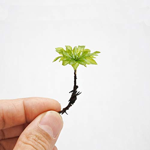 苔のおすすめ人気ランキング【2026年6月】 4