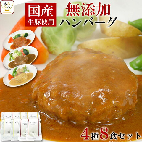 無添加ハンバーグ 4種詰め合わせ 1