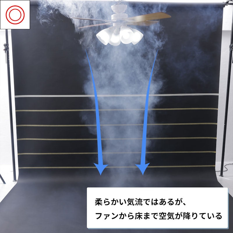 シーリングファン Windouble 4灯 6