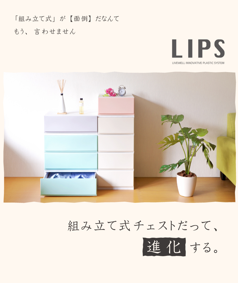 LIPS 彩 3段 2