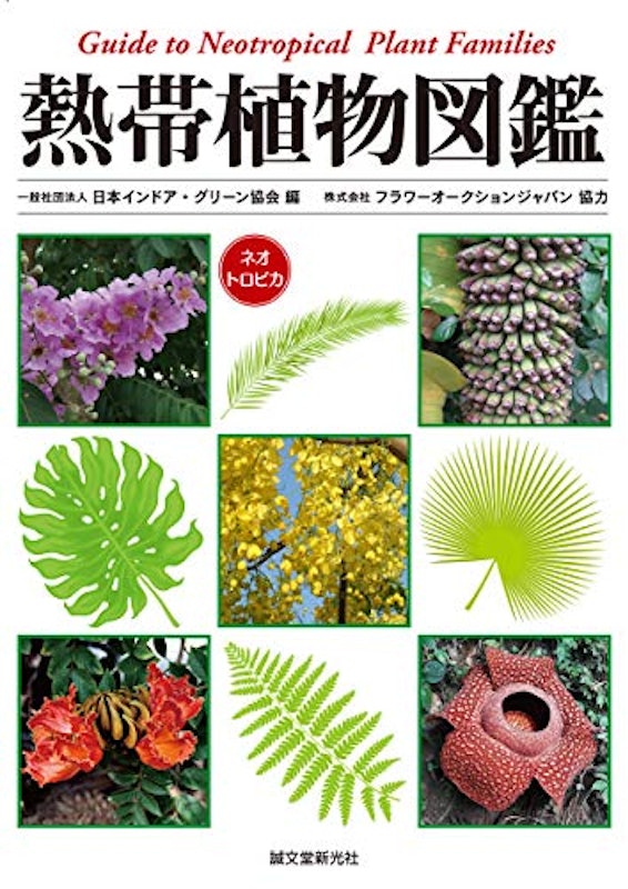熱帯植物図鑑 1