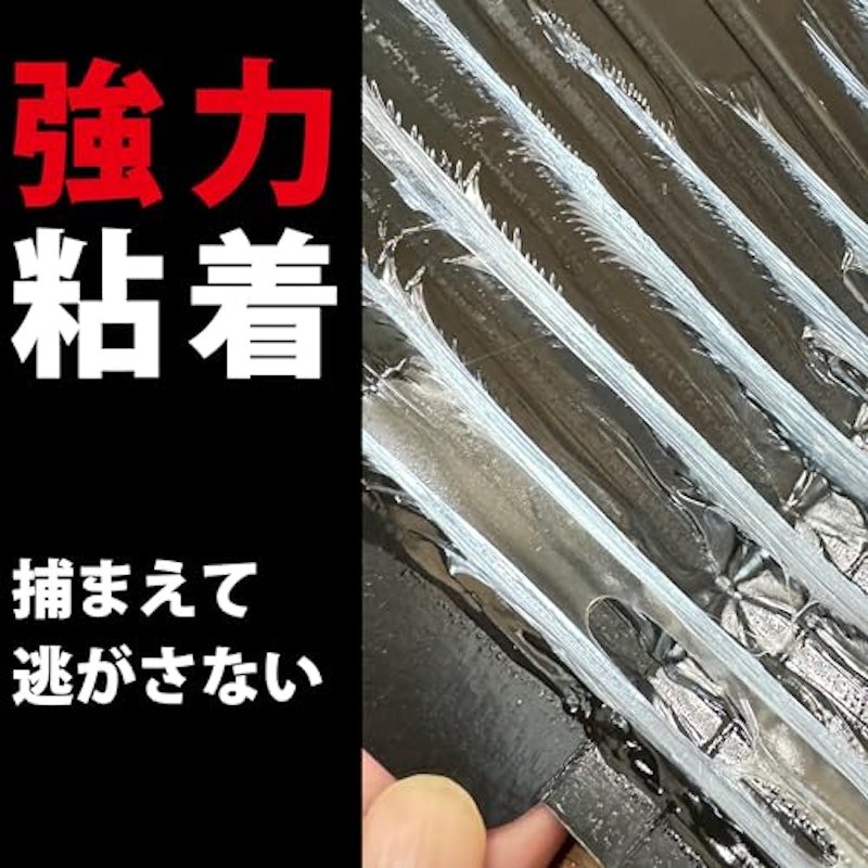 チュークリンブラック メガハウス 3