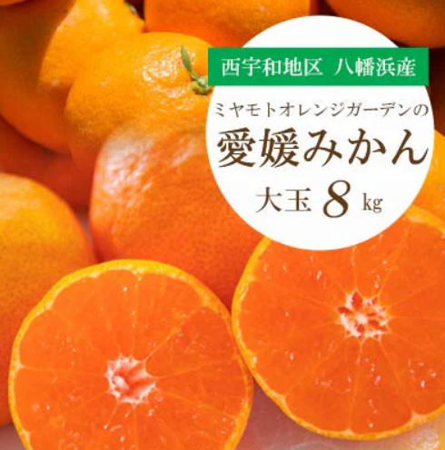 愛媛みかん 1