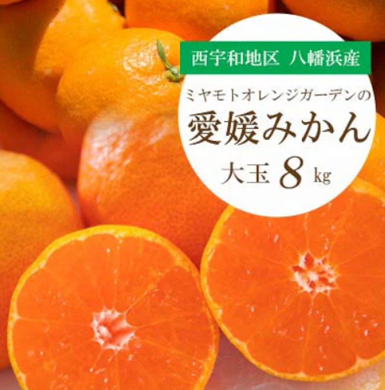 愛媛みかん 1