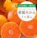 愛媛県八幡浜市 愛媛みかん 1
