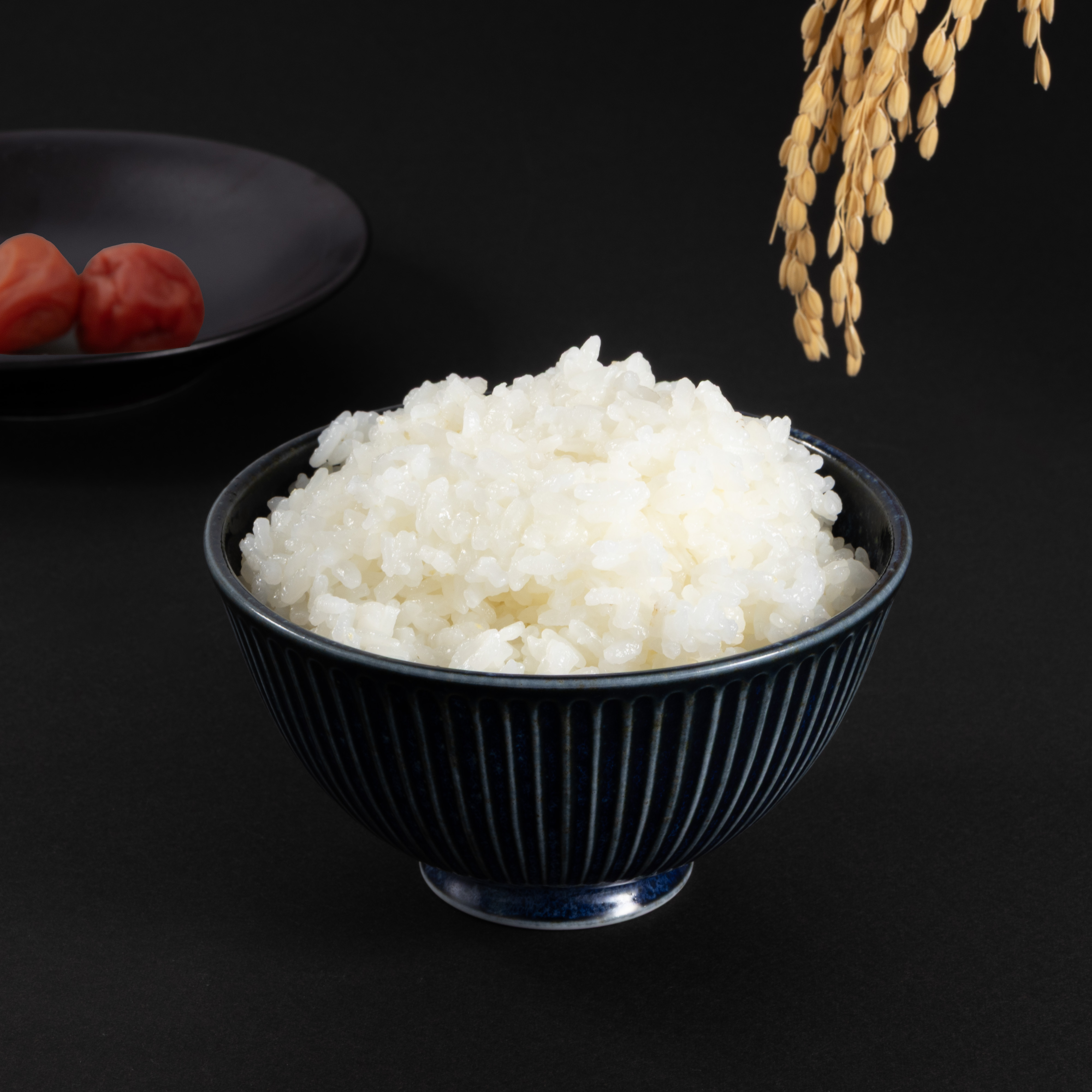 パナソニック Panasonic 可変圧力IHジャー炊飯器 Bistro SR-X910D-Kを