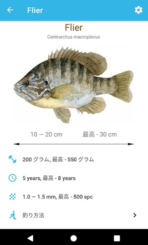 魚の惑星 6